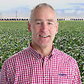 Steven Dorrestijn