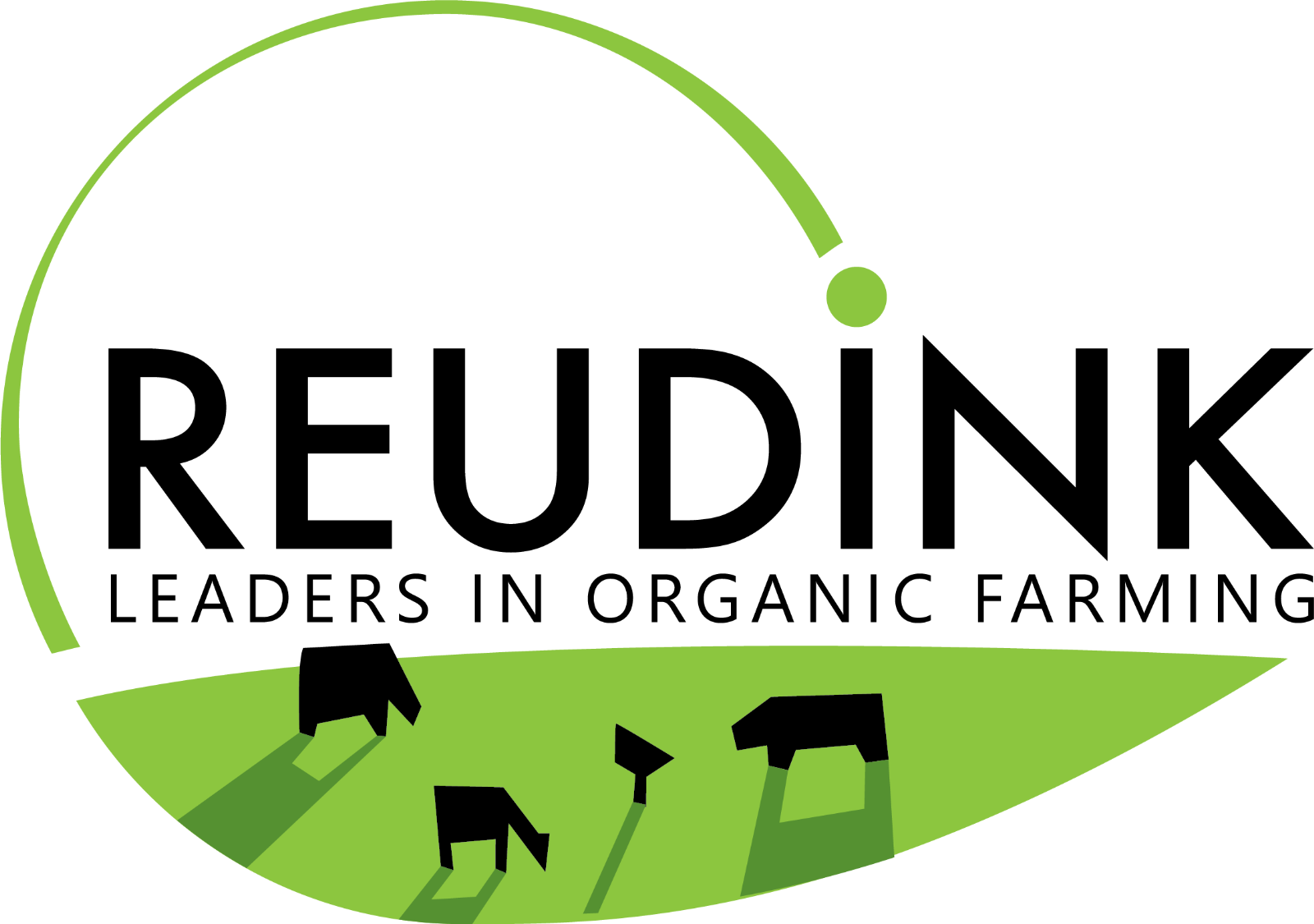Reudink logo