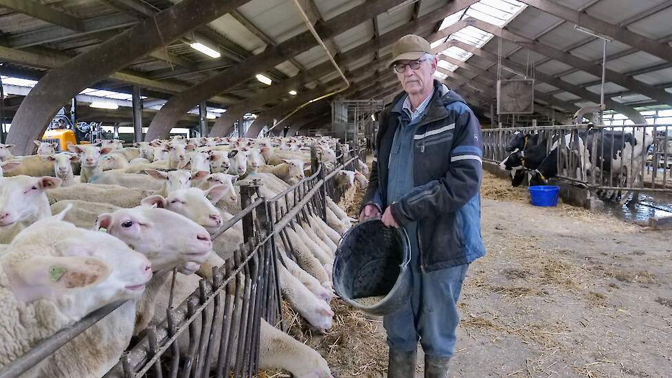 Video: Melkschapen, melkkoeien en akkerbouw bij Johan Marijs