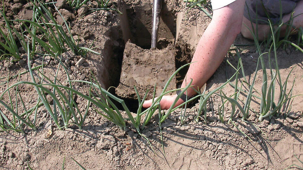 6. Steek een kluit uit de ondergrond tot 50cm diepte en beoordeel deze