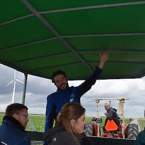 Rondleiding langs strokenteelt en agroforestry in Lelystad