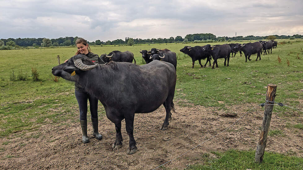 Emma Vlaanderen met buffel Fendi