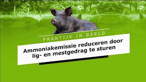 Vijf biologische varkenshouders in beeld: ammoniakemissie reduceren doe je zó!