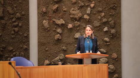 Laura Bromet in de Tweede Kamer (archiefbeeld).