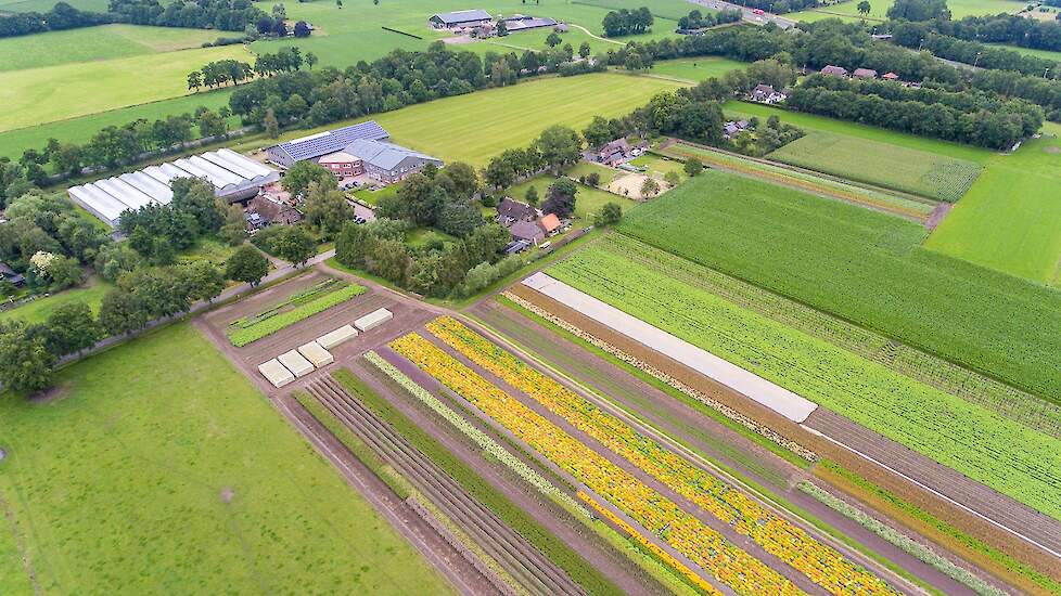 Luchtfoto van De Bolster in Epe.