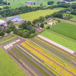 Luchtfoto van De Bolster in Epe.
