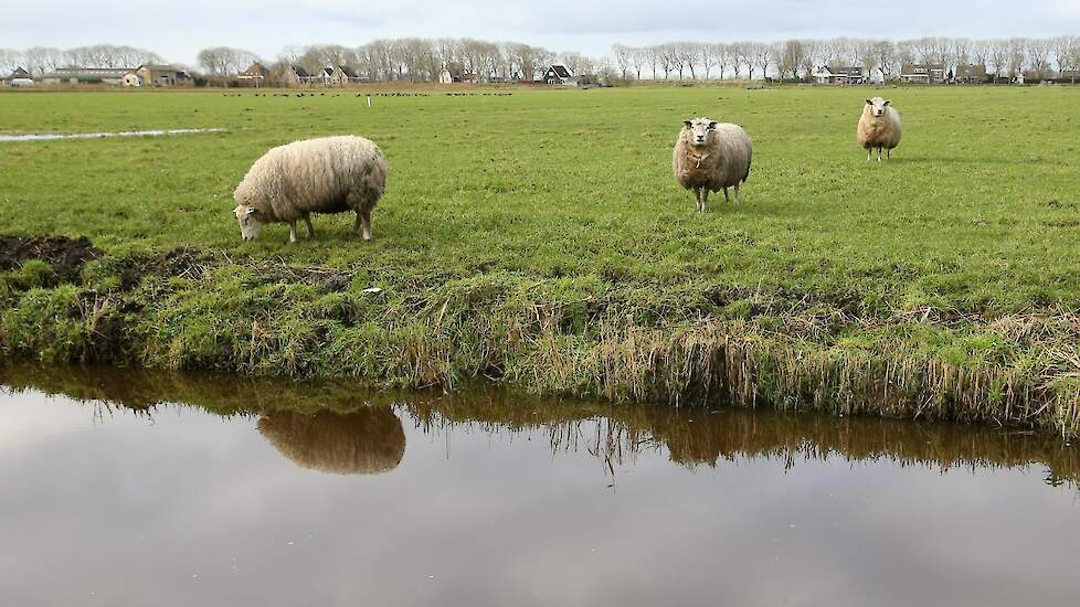 beeld ter illustratie