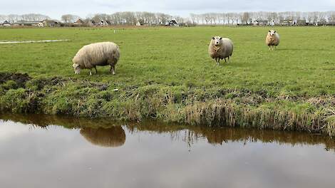 beeld ter illustratie
