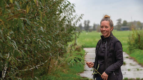 Ramona Schalkwijk koos voor agroforestry op haar bedrijf Bloemenweidemelk