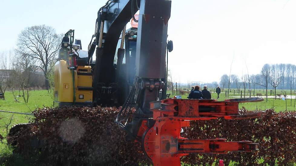 En nog meer agroforestry-werktuig.