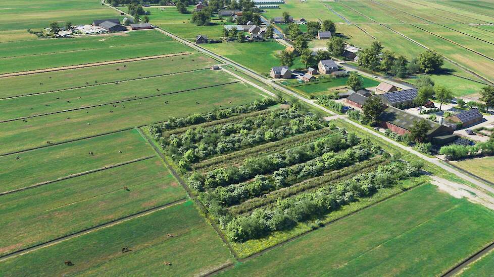 weergave van het toekomstige voedselmoeras Gravesteyn