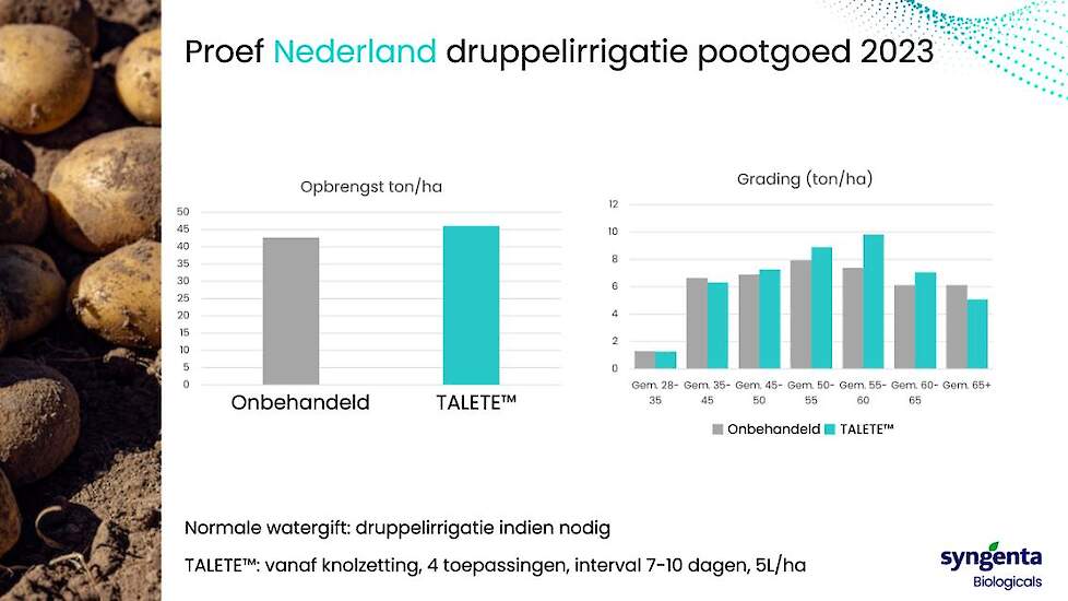 Met 4 toepassingen TALETE™ werd in 2023 een meeropbrengst van 7,6% gerealiseerd in pootgoed.  Verder viel op dat er een toename was qua tal in het grotere segment.