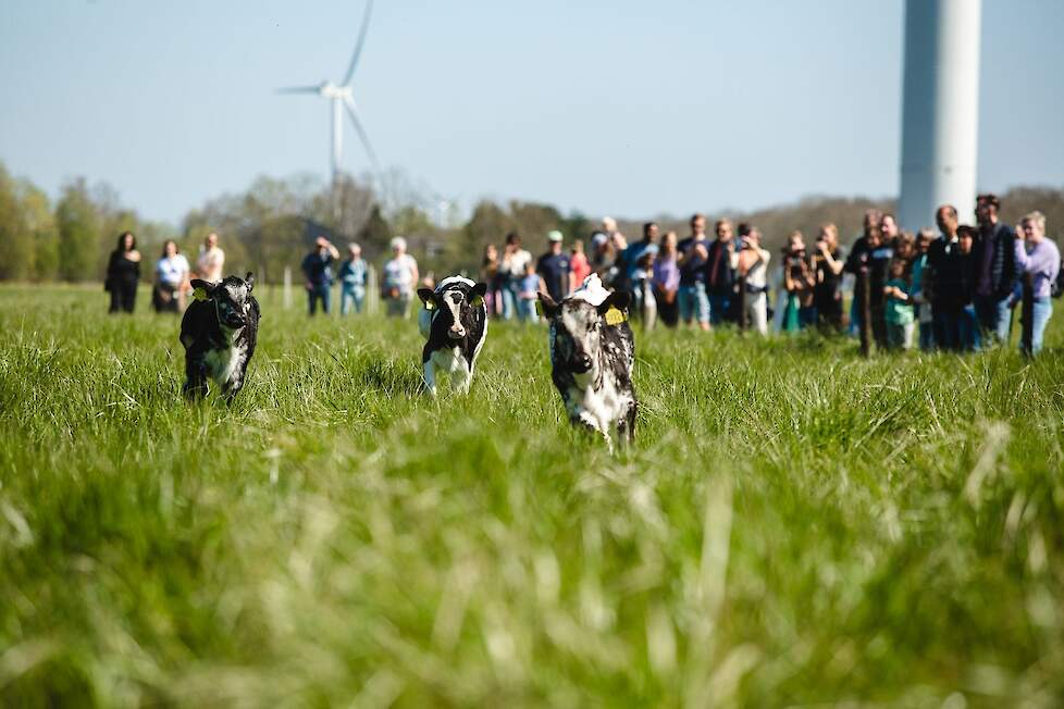 Opendag Burgerboerderij Oosterwold