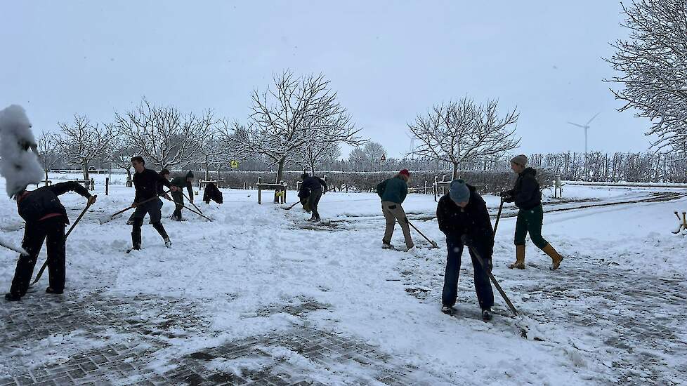 Het erf voor de koeienstal en Hofwinkel sneeuwvrij maken